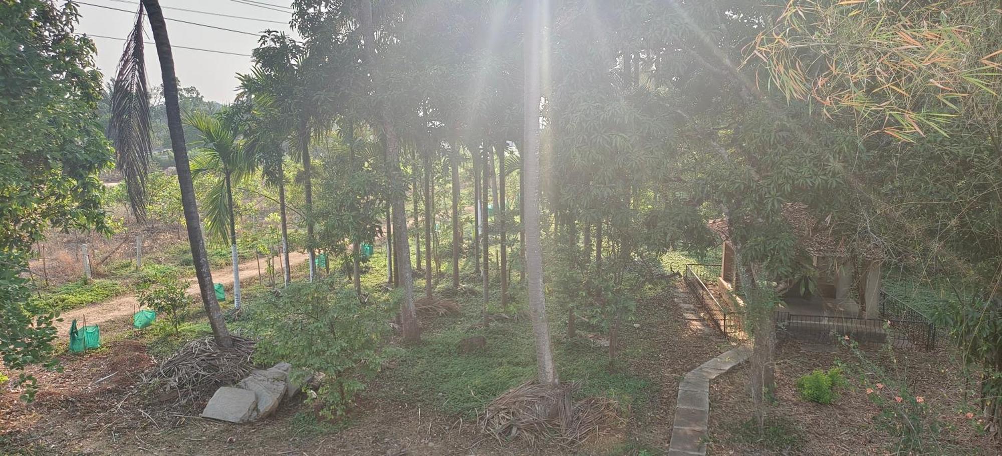 Sugamya Farm Guesthouse ساجار الغرفة الصورة